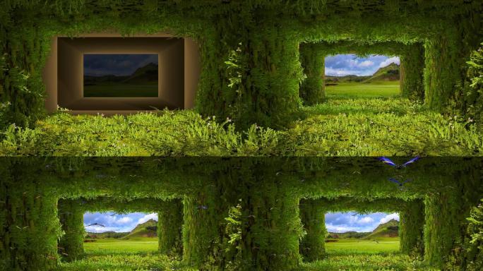植物生长动画