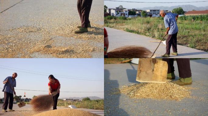 农村农民打场筛小麦丰收 农作物素材