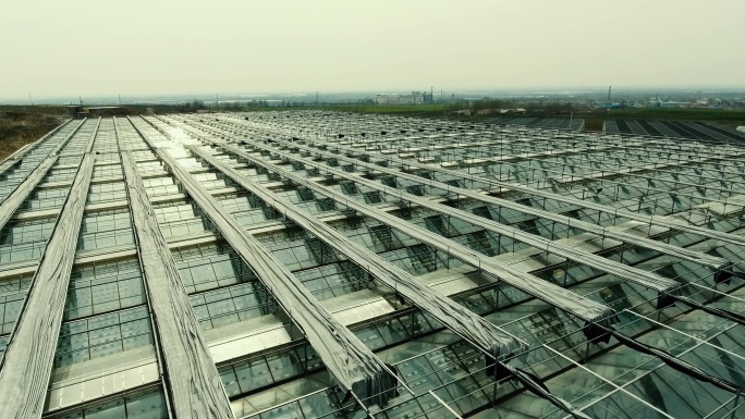 大棚航拍空镜原创4K 温室大棚展示