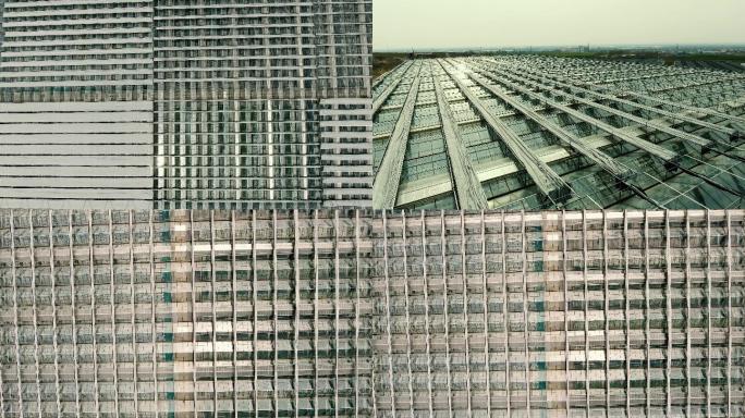 大棚航拍空镜原创4K 温室大棚展示