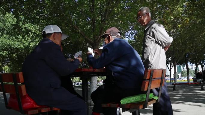 在公园打扑克的老人