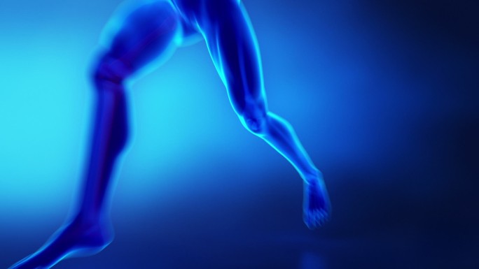 人体膝关节跑步人体运动三维