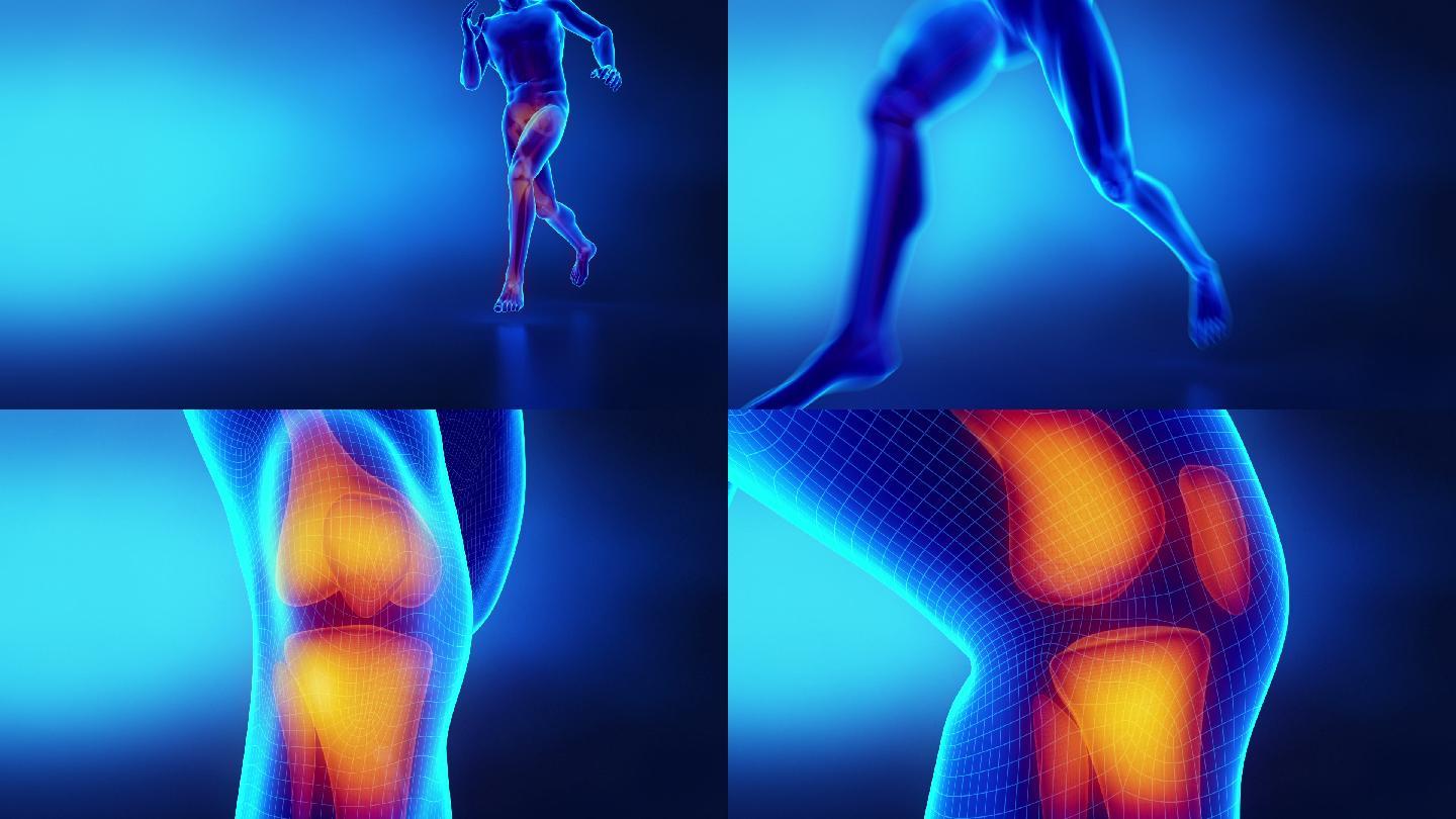 人体膝关节跑步人体运动三维