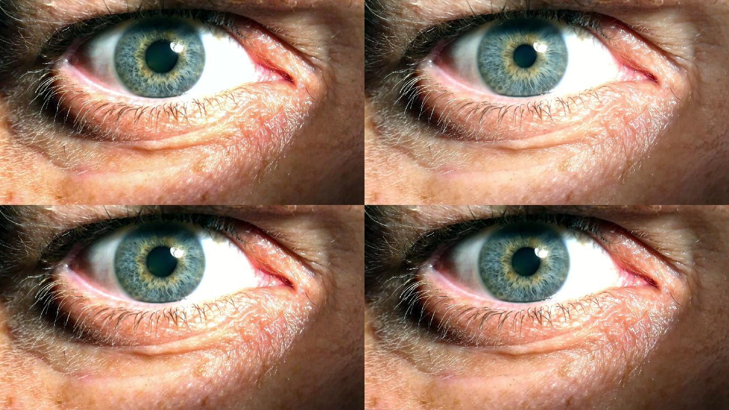 人类眼球的特写三维眼角膜眼睛眼球