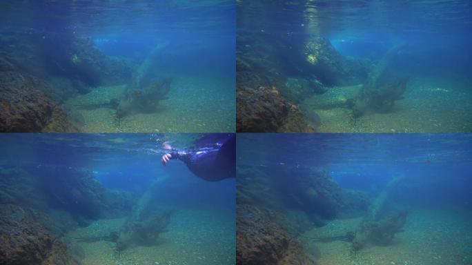 水底画面游泳水下摄影