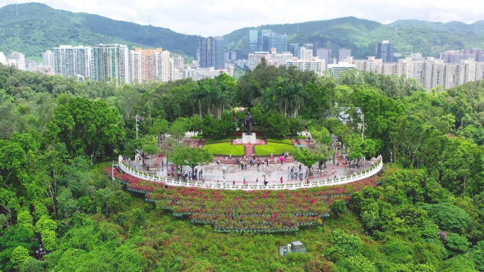 莲山春早：深圳莲花山公园山顶广场