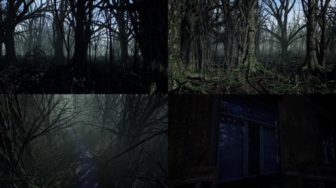 幽暗树林原始森林
