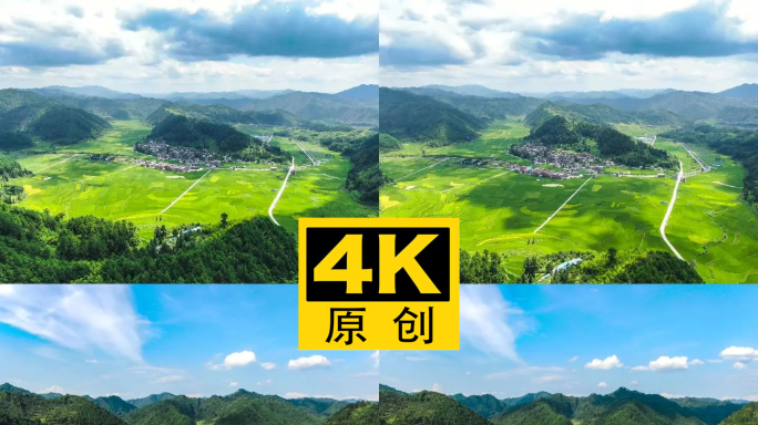 4K 航拍延时农村水稻稻田风光