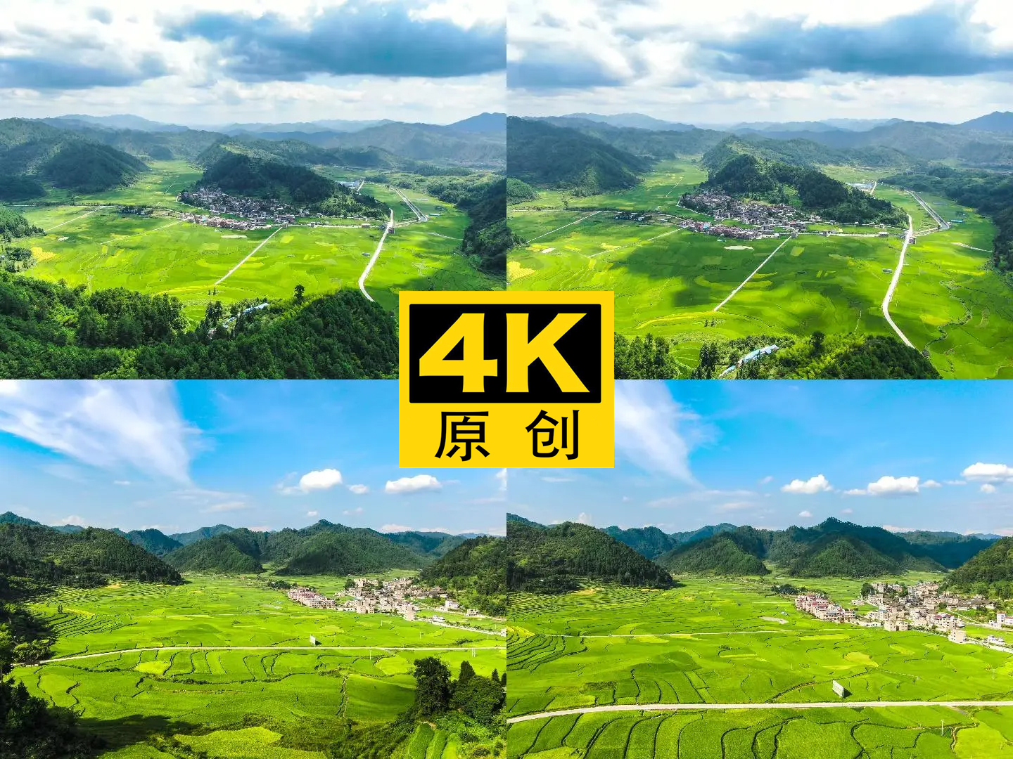 4K 航拍延时农村水稻稻田风光