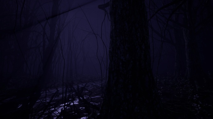 夜景幽暗森林