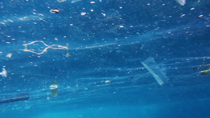 鱼在海洋垃圾中游泳塑料片