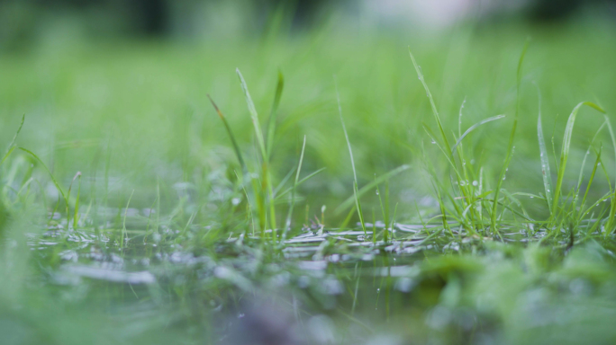 下雨