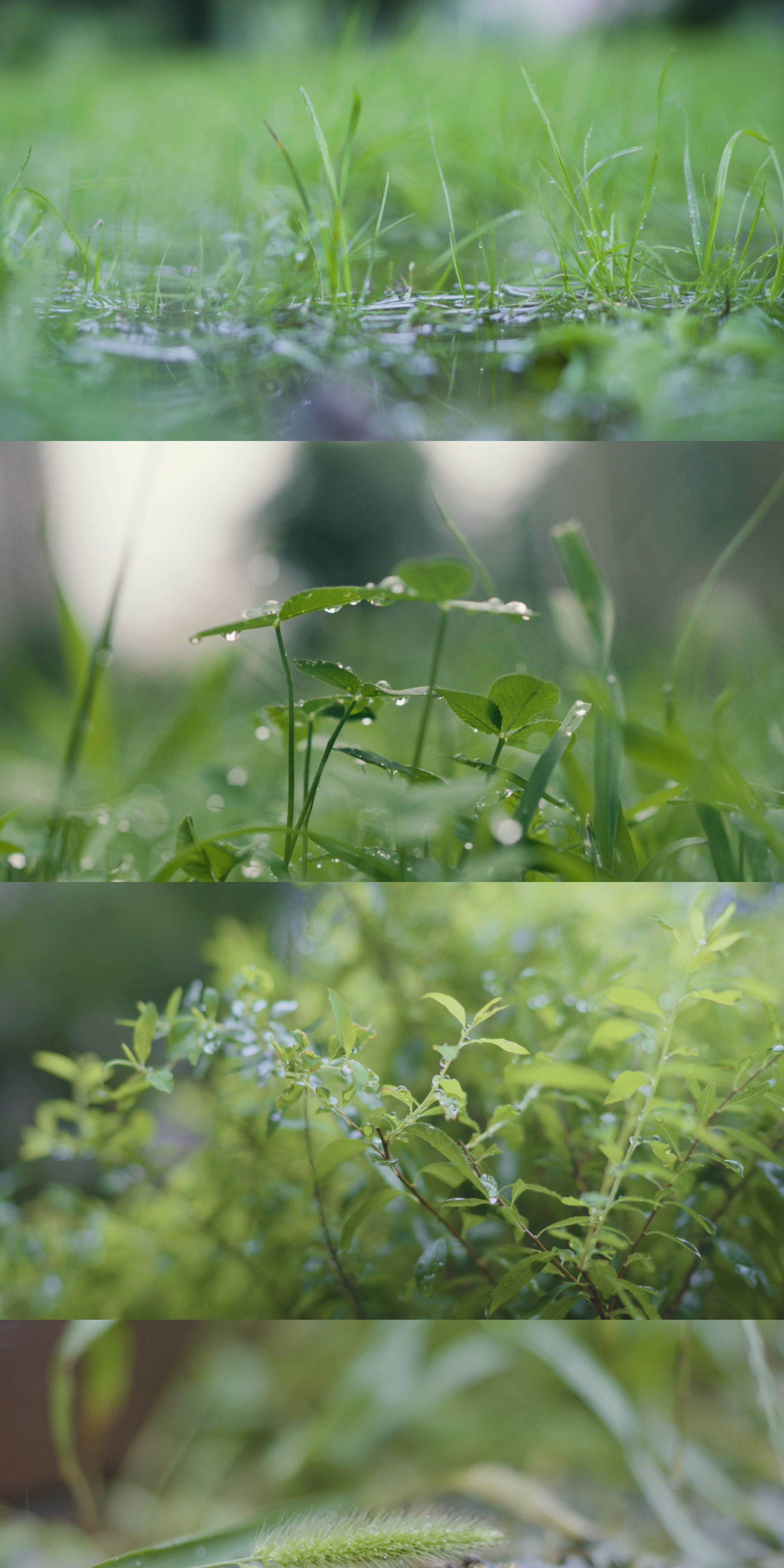 下雨