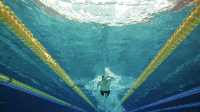 自由泳运动员水下拍摄赛事比赛美国人
