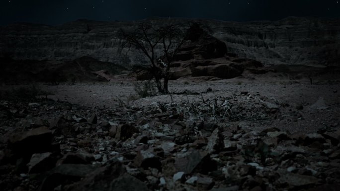 夜间沙漠景观夜拍