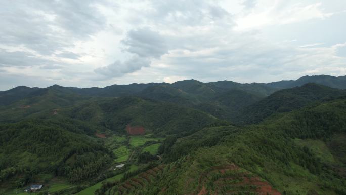 山林深处农村丘陵果园