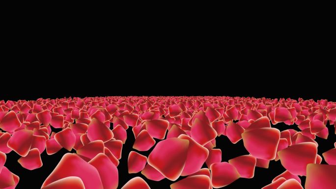 玫瑰花瓣粒子海冲屏幕视频