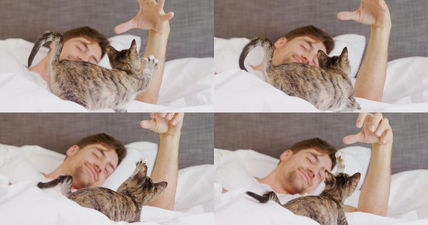 年轻人躺在床上和他的斑猫玩耍