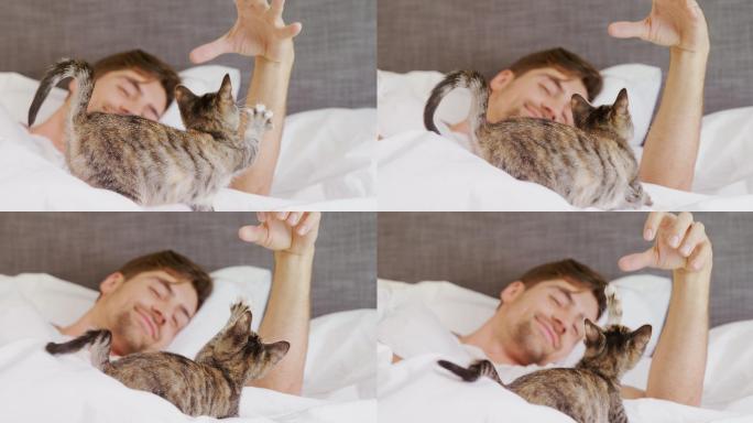 年轻人躺在床上和他的斑猫玩耍