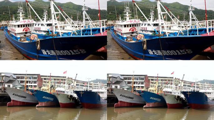 龙港市码头鱼港 浙江沿海渔船停靠码头