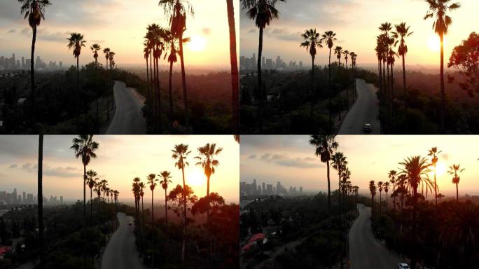 洛杉矶日落中的棕榈树