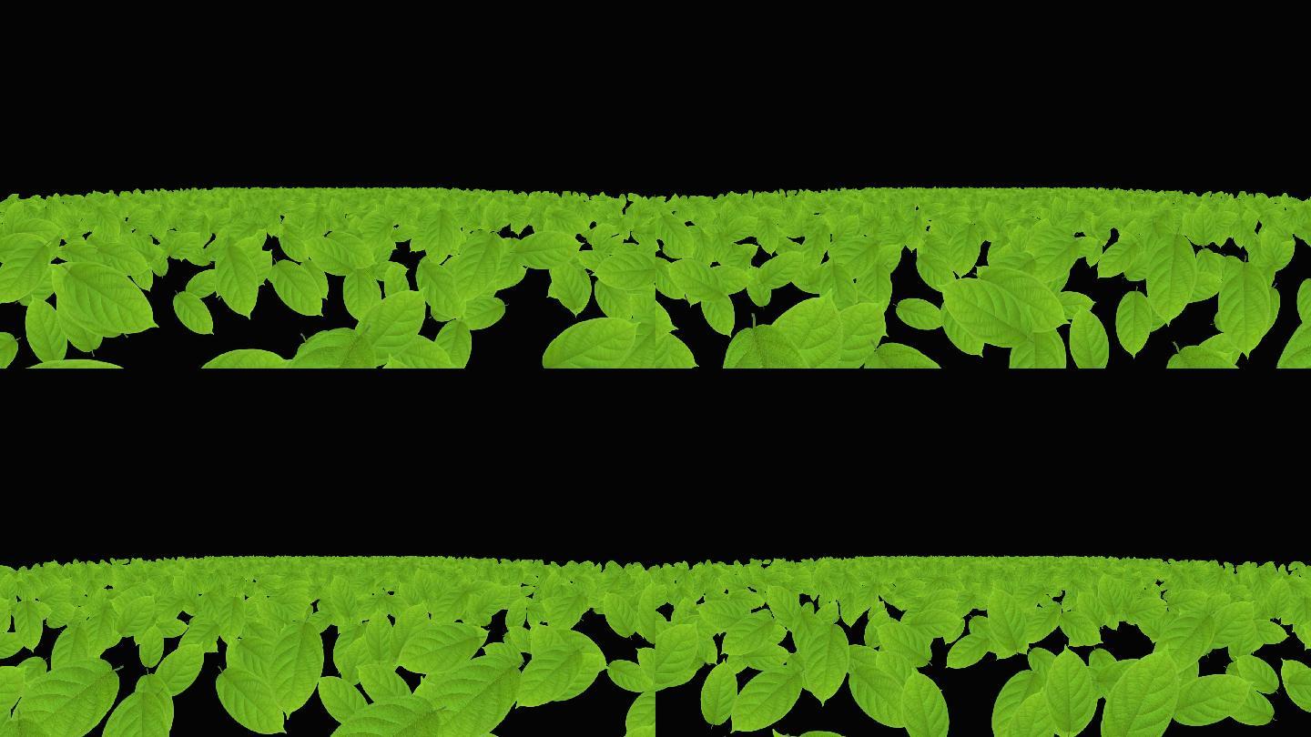 绿叶粒子海冲屏幕视频