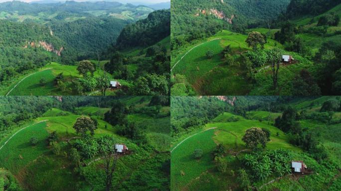 绿色小山上的小木屋。