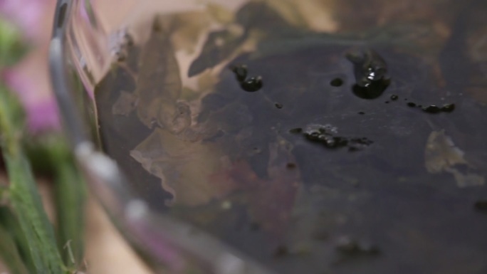 泡发紫菜海苔海藻 (5)
