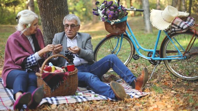 快乐的老年夫妇正在野餐