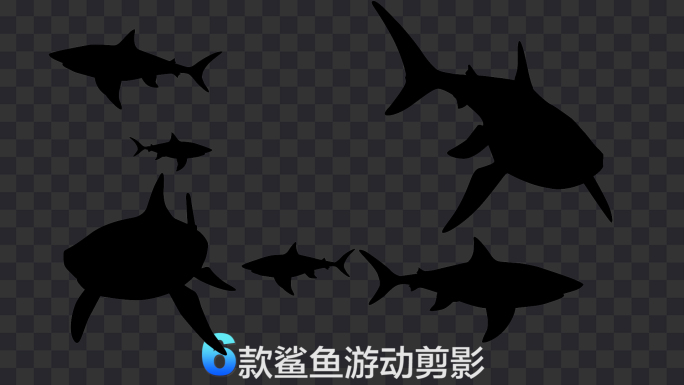 6款鲨鱼游动剪影动画-带通道