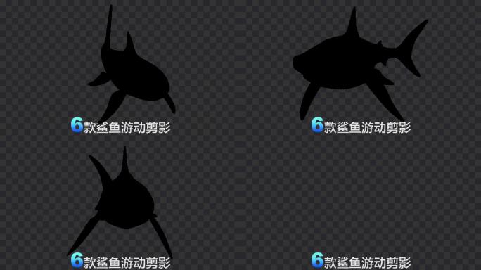 6款鲨鱼游动剪影动画-带通道