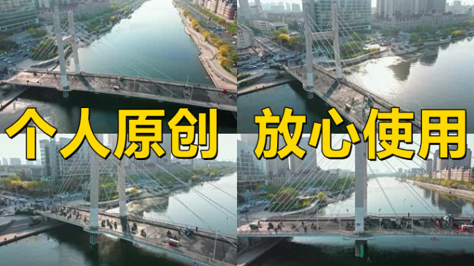 【19元】天津刘庄桥