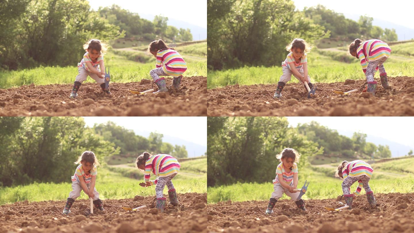 小女孩们在挖土