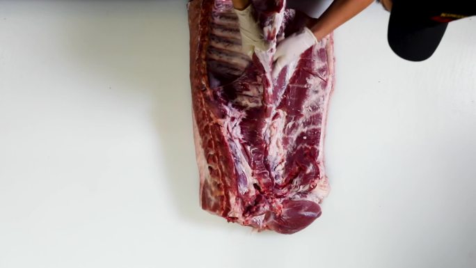 猪肉分割中段猪肉的细分割排骨五花肉F