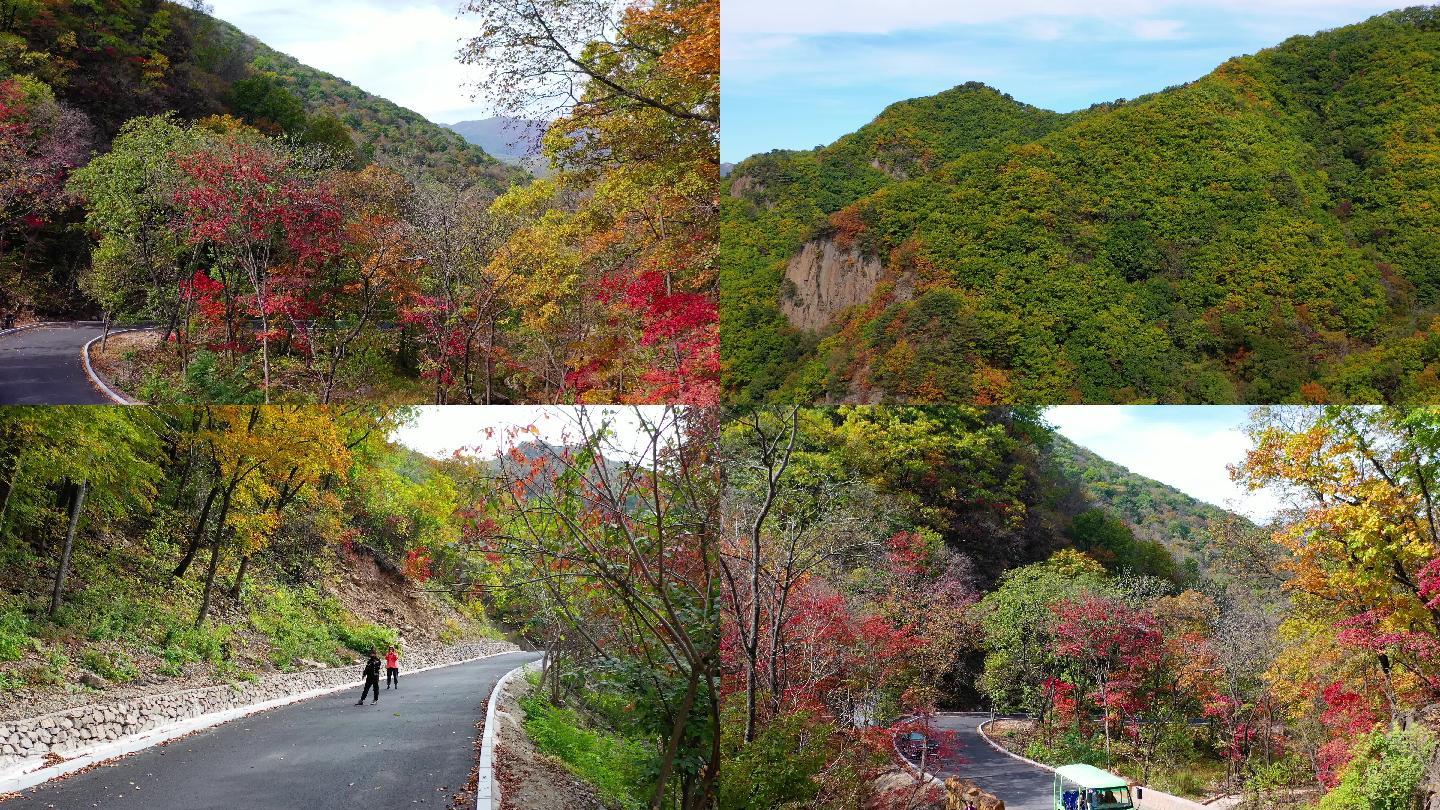 合集  东北小黄山：辽宁本溪关门山秋色浓