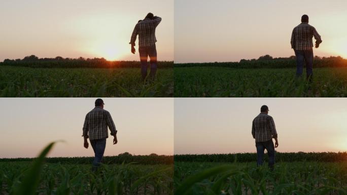 日落时分，农夫在田里行走时擦去额头上的汗水