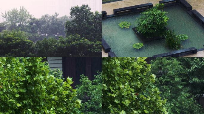 暴雨 郑州暴雨 大雨 下雨  特大暴雨