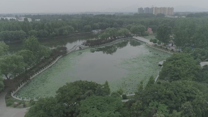 驻马店驿城置地公园航拍03