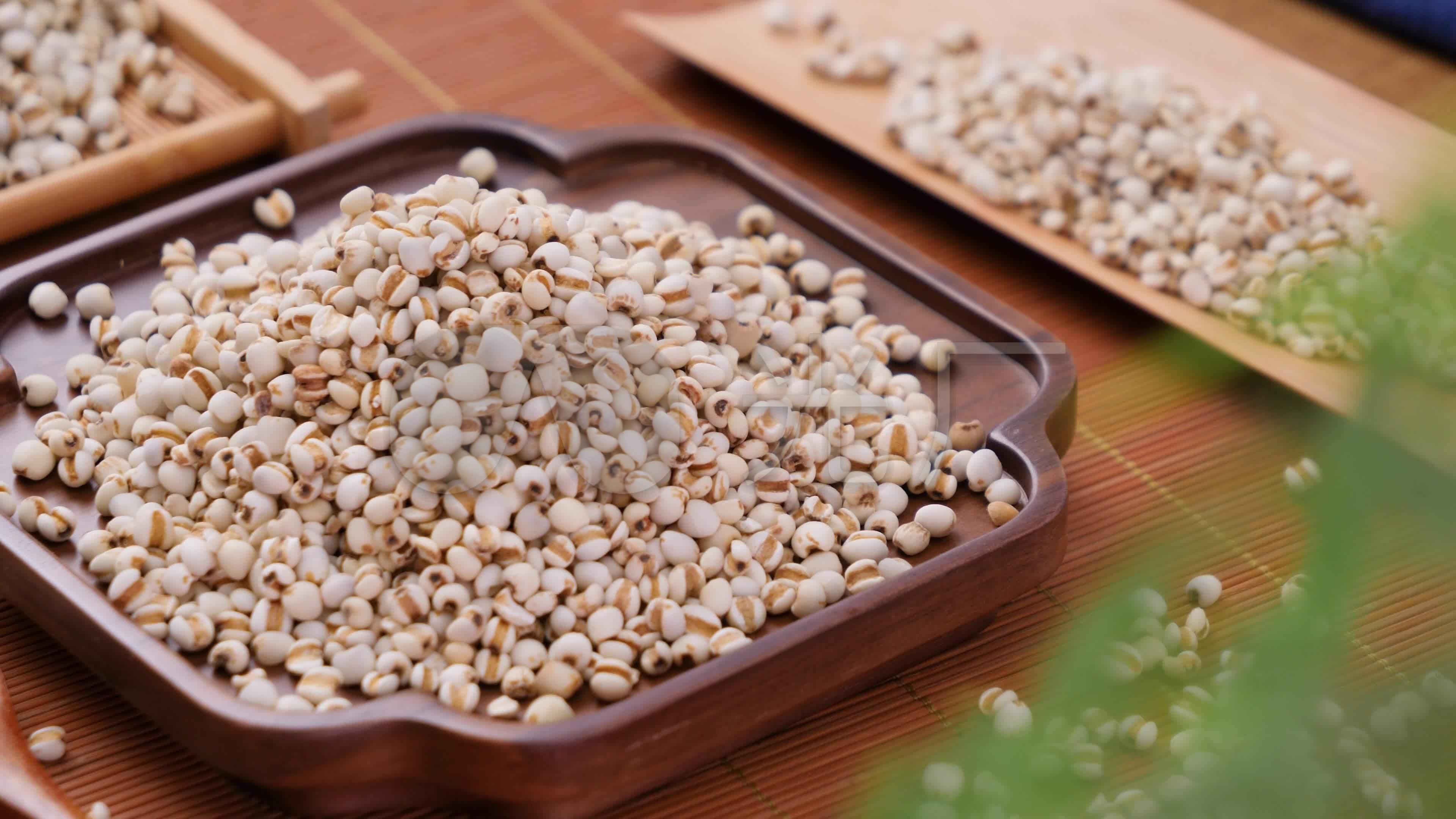 你吃的是薏米是真薏仁还是大麦粒？薏苡竟然有这么多种！