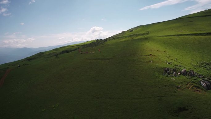 山水 草地 高山  云雾