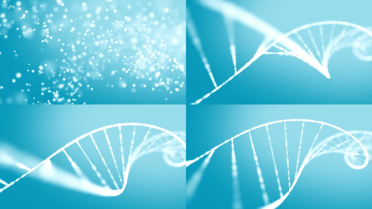DNA结构形成