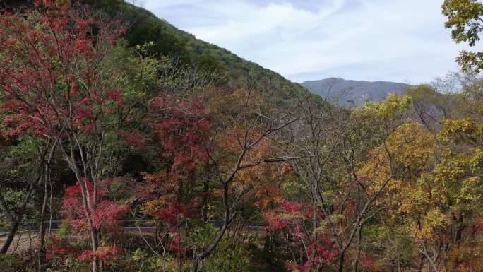 原创 东北小黄山：辽宁本溪关门山秋色浓