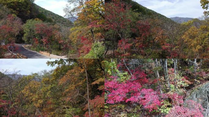 原创 东北小黄山：辽宁本溪关门山秋色浓