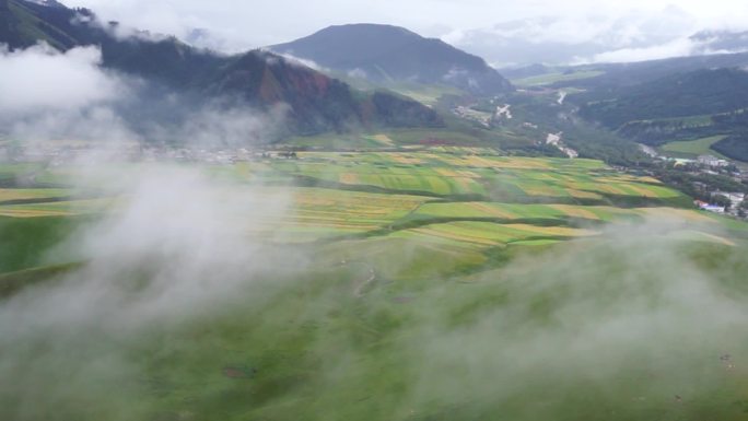 祁连卓尔山雨后风光