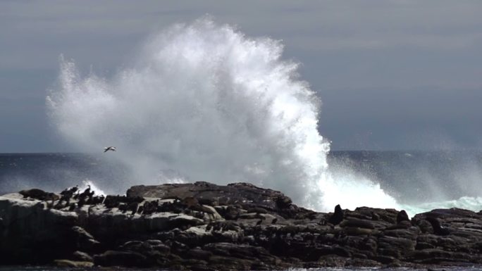 波浪撞击岩石海洋风光海浪礁石乘风破浪慢动