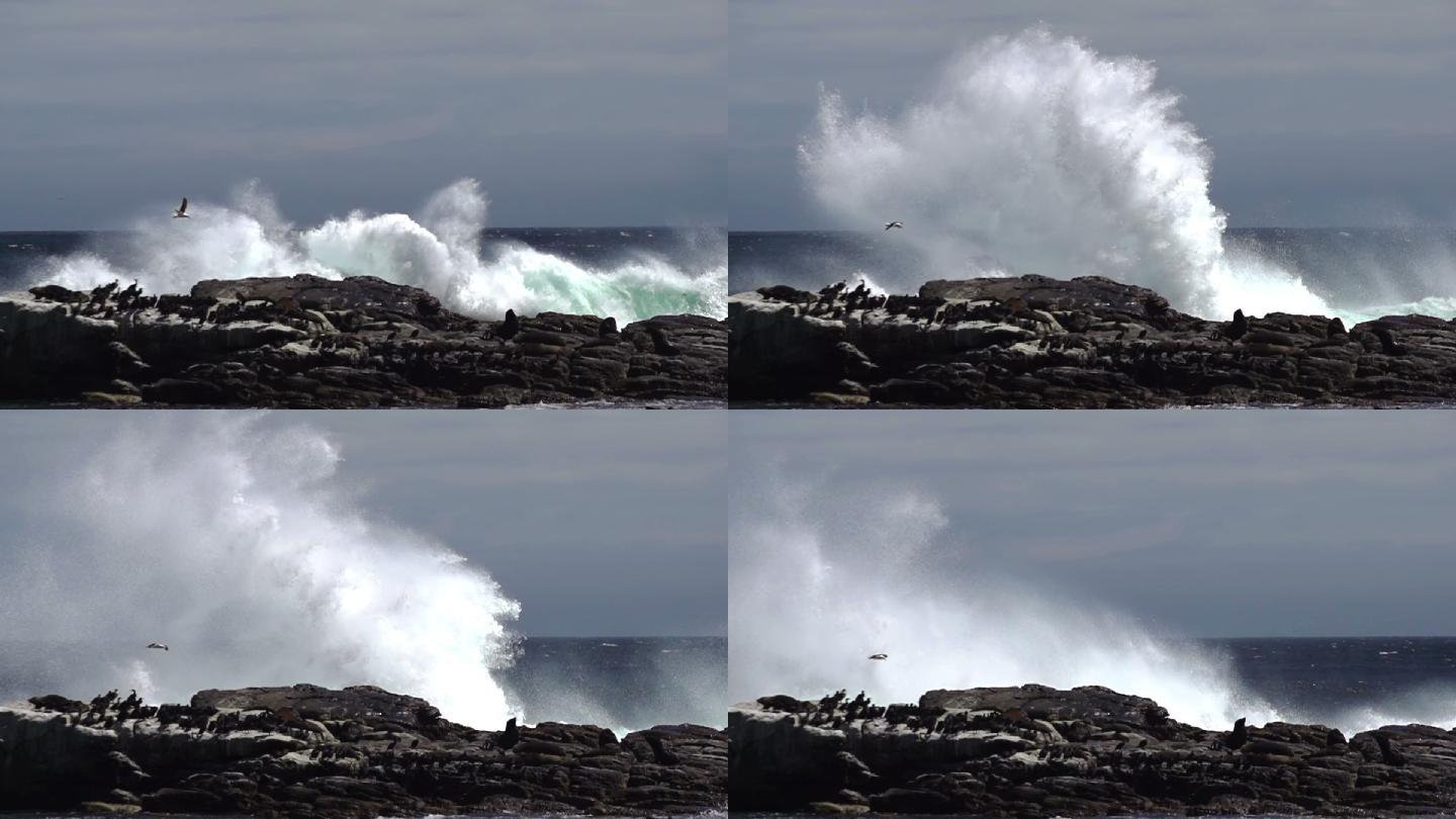 波浪撞击岩石海洋风光海浪礁石乘风破浪慢动