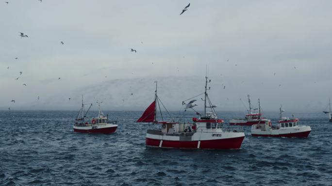 在北冰洋捕捞鳕鱼