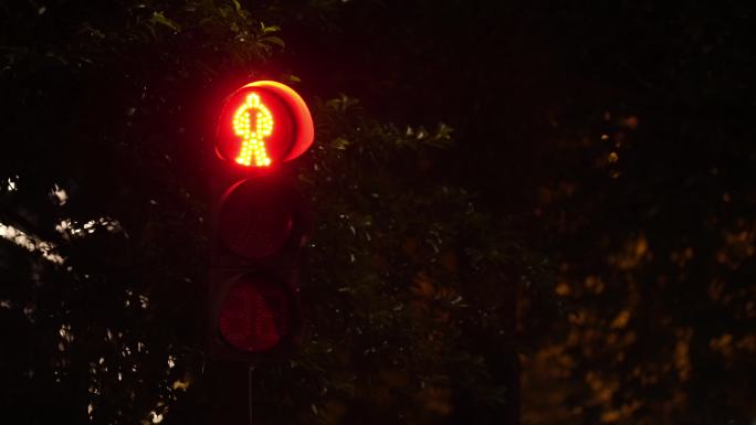 夜晚红绿灯闪烁倒计时自行车红绿灯