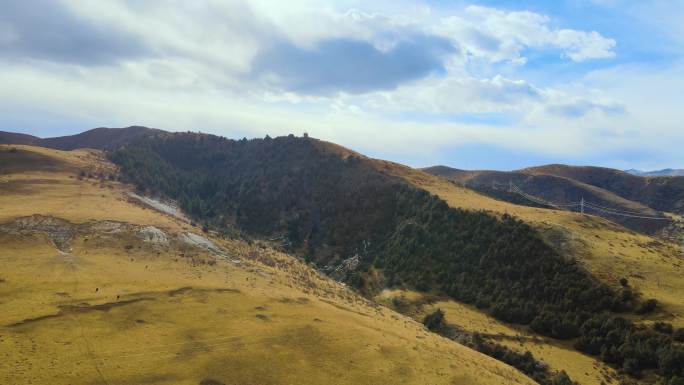 经幡彩旗航拍壤塘高山草甸