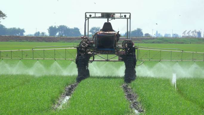 稻田机械喷洒农药食品农业博览会谷物植物